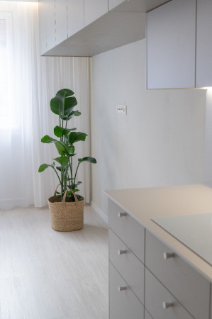 4+kk Frýdek-Místek, Ostravská